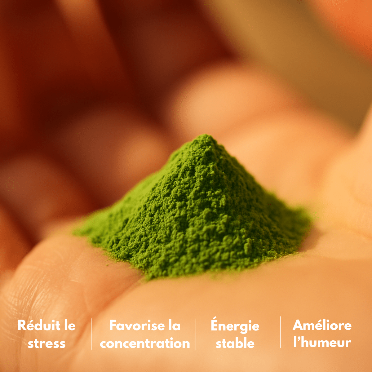 Thé matcha ceremonial Meyshaa, super-aliment riche en antioxydants et vitalité ceremonie