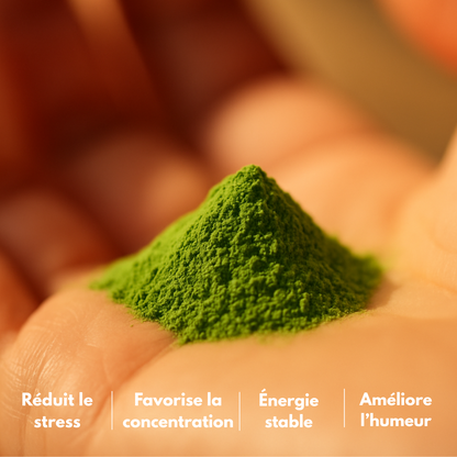 Matcha Cérémonial Bio