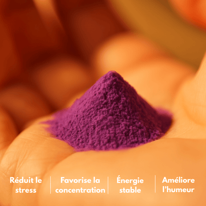 Poudre ubé collagène Meyshaa 100g packaging fond blanc